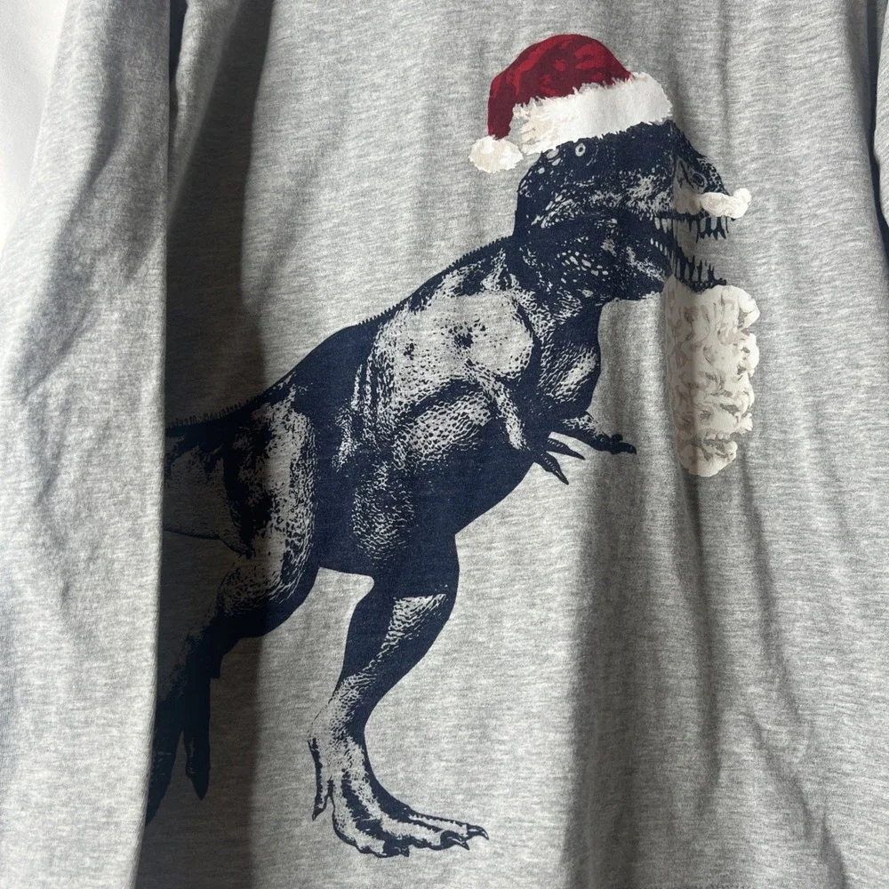 Hanna Anderson 140 (10) Boys Christmas Shirt‎ T-Rex Dinosaur Santa Hat Gray
